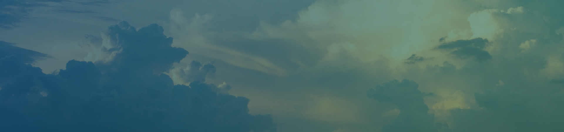 Errores tras actualizar WordPress